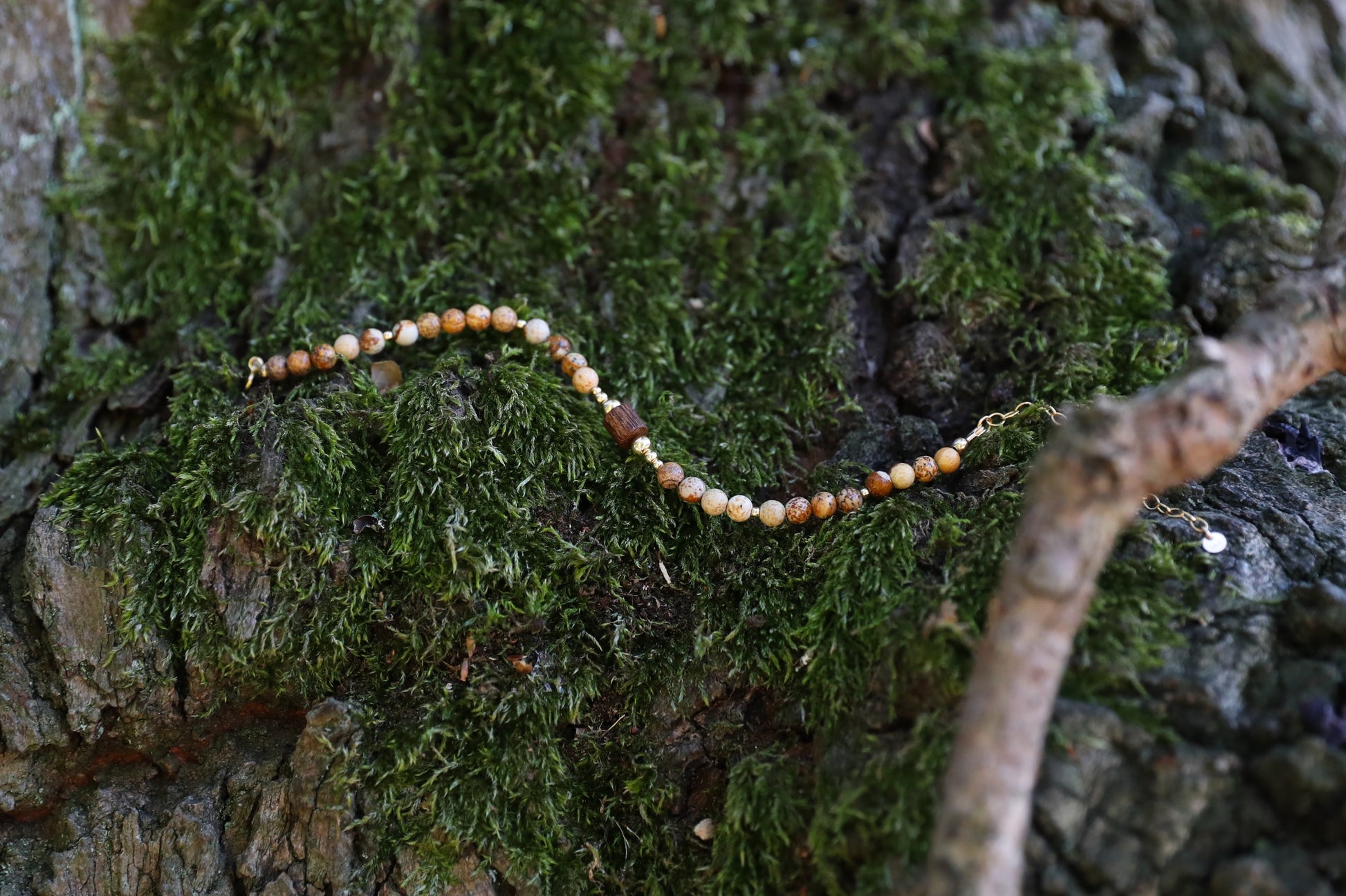 The Earth's Story Bracelet by Gaia's Heirlooms, made with Picture Jasper beads, a natural wood bead in the middle and Gold Filled details.